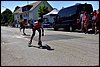 _SG80111.JPG
