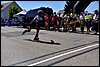 _SG80115.JPG