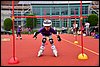 _SG40549.JPG